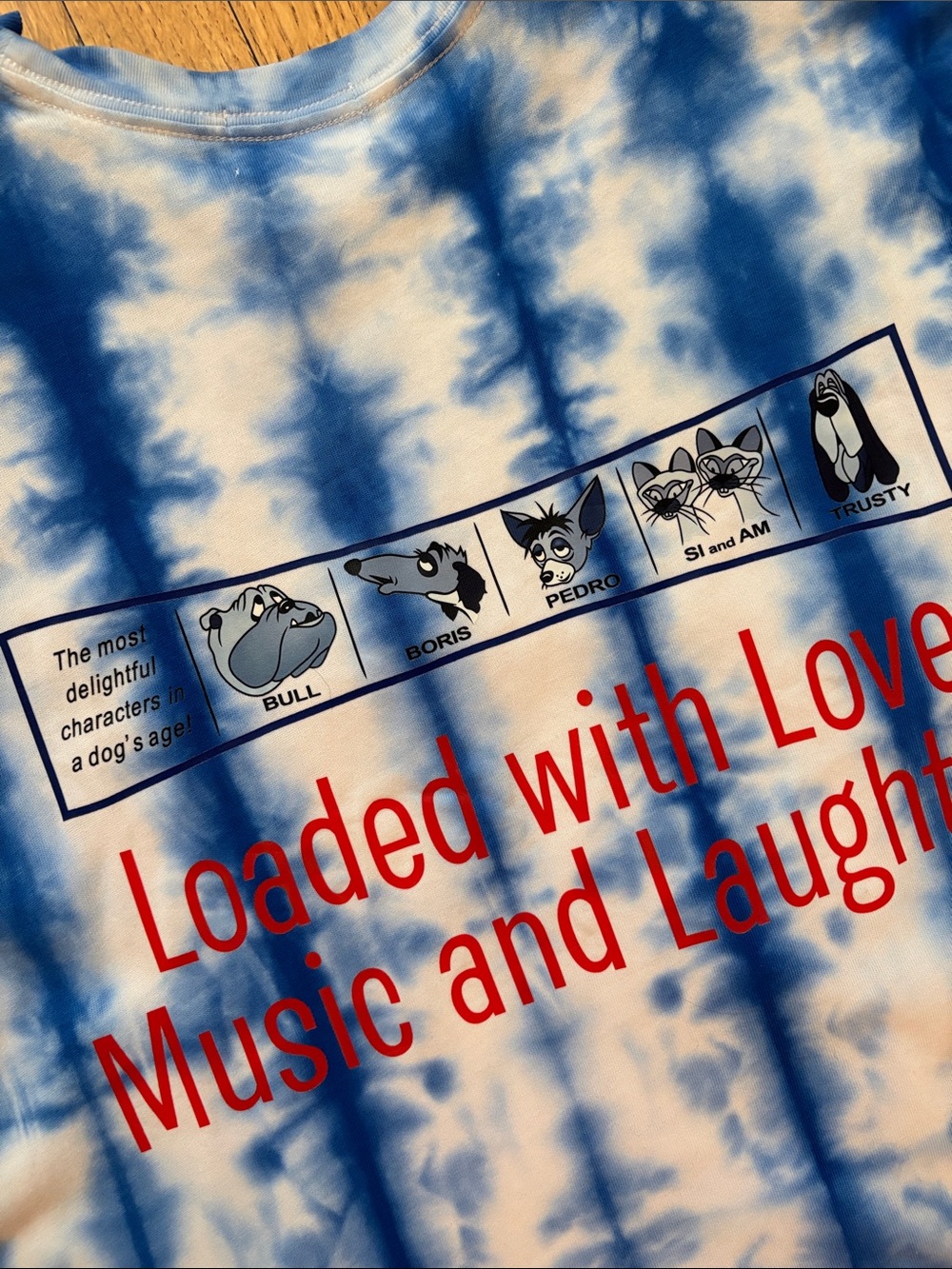 Disney Blue Tie-Dye 'Lady and the Tramp' Short Sleeve Tee - Picture 3 of 3
